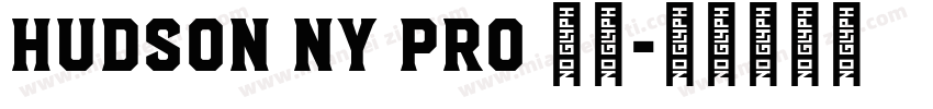 Hudson NY Pro 字体字体转换